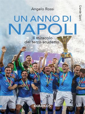 cover image of Un anno di Napoli